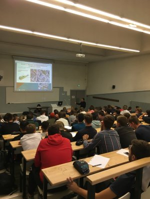amphi