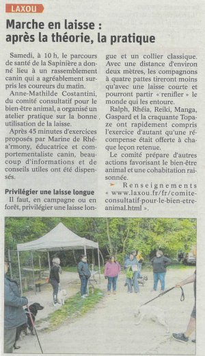 Article de presse toutous en laisse