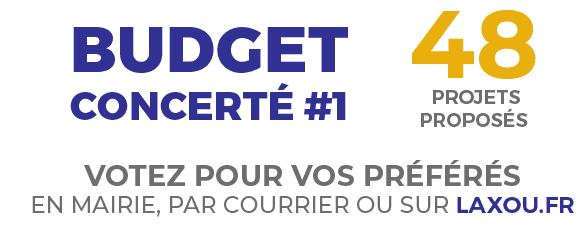 Budget concercté numéro 1
