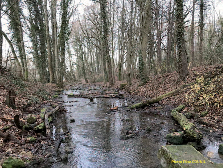 Ruisseau de l'Asnée encore visible sur 600 m environ en amont du Domaine de l'Asnée