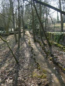 Sentier au Fond de Lavaux