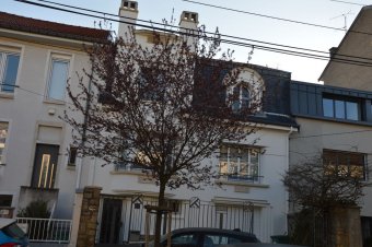 Poursuite du renouvellement des arbres par la Métropole du Grand Nancy