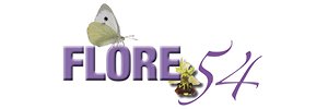 4ème Édition des Trophées de l'Environnement 4ème Édition des Trophées de l'Environnement