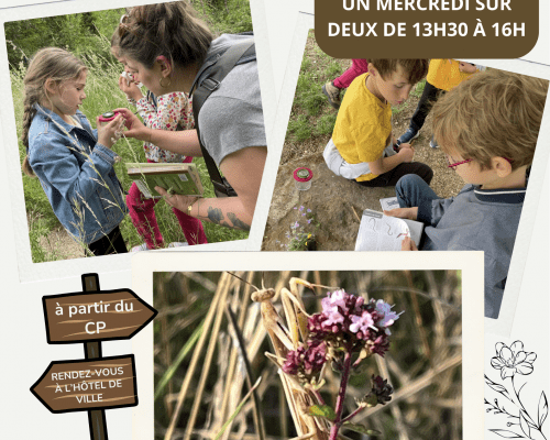 CLUB NATURE JUNIOR