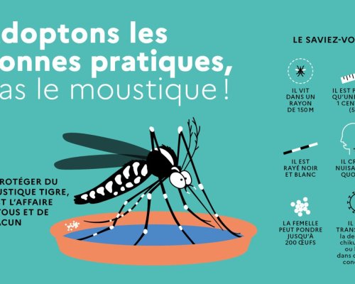 Enquête entomologique moustique tigre