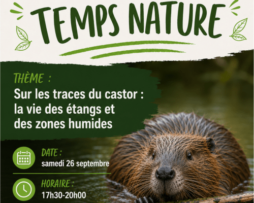 Temps Nature : Sur les traces du castor