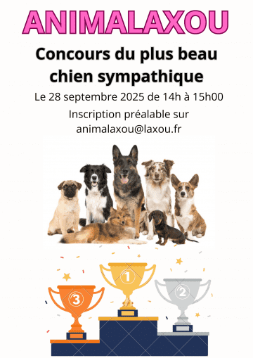 Concours du plus beau chien sympathique