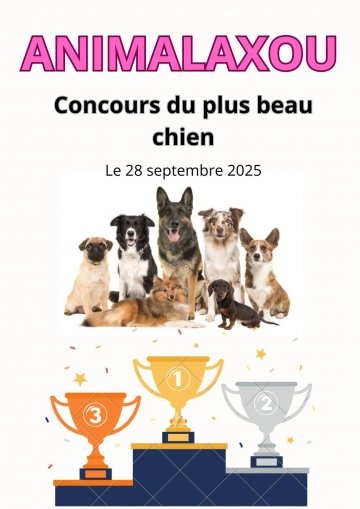 Concours du plus beau chien