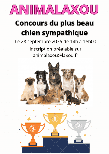 Concours du plus beau chien sympathique