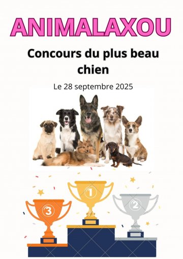 Concours du plus beau chien