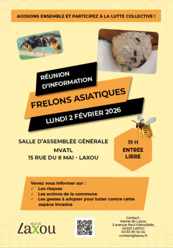 INFO FRELON ASIATIQUE