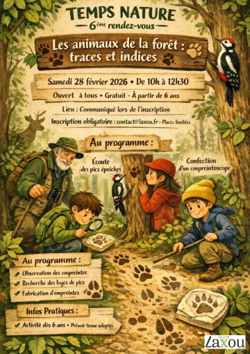 Découverte de la faune