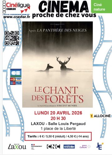 Cinéma - Le chant des forêts