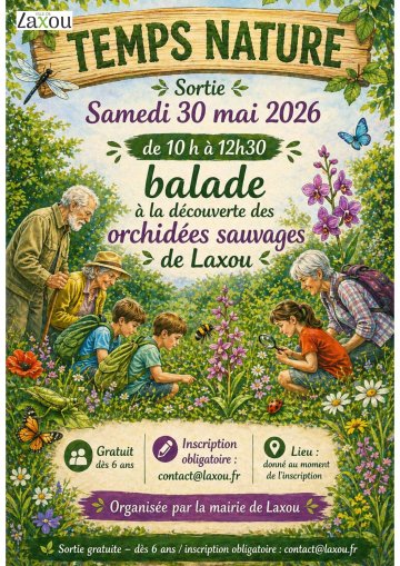 Sortie Temps Nature à Laxou - Découverte des orchidées