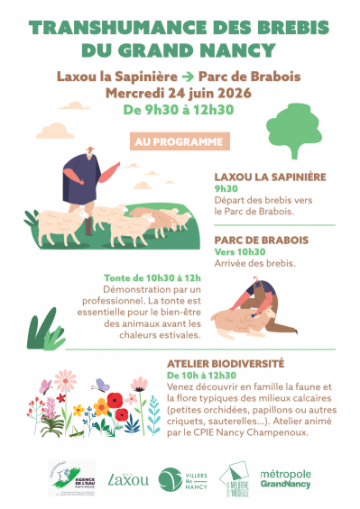 Annonce Transhumance Laxou Brabois